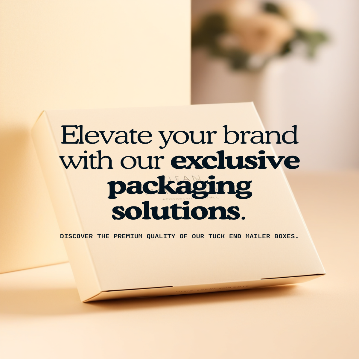 Tuck end mailer box packaging — view 4